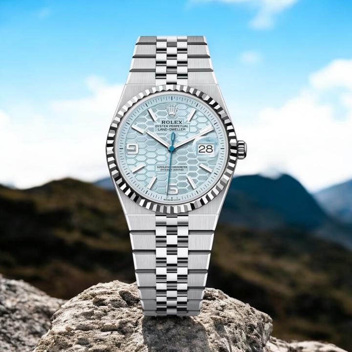 Rolee_x Oyster Perpetual Land Dweller Tiffany
