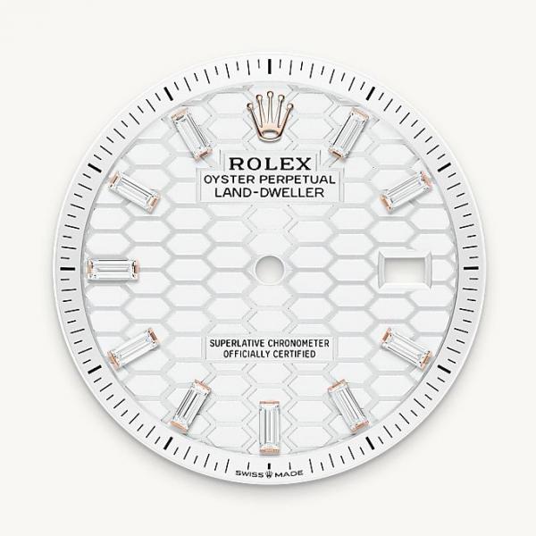 Role_x Oyster Perpetual Land Dweller