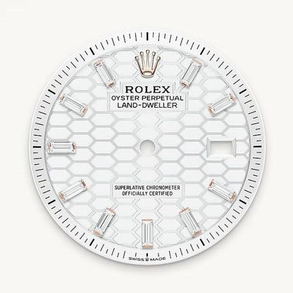 Role_x Oyster Perpetual Land Dweller