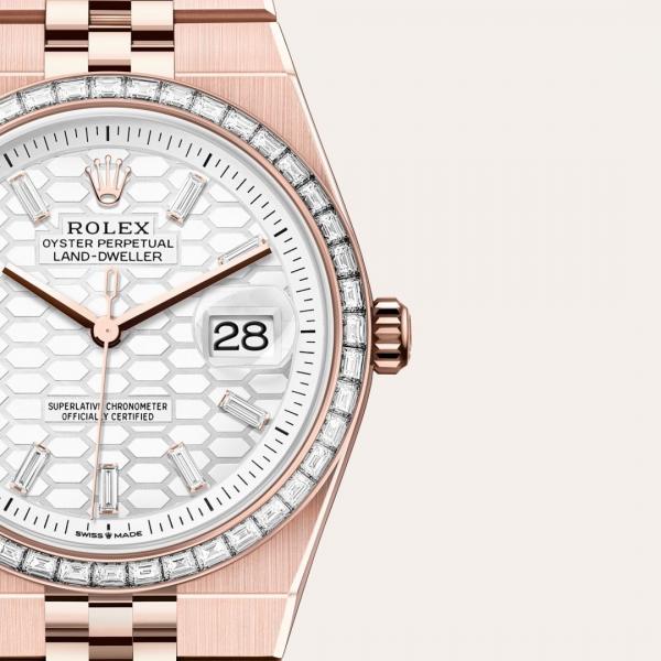 Role_x Oyster Perpetual Land Dweller