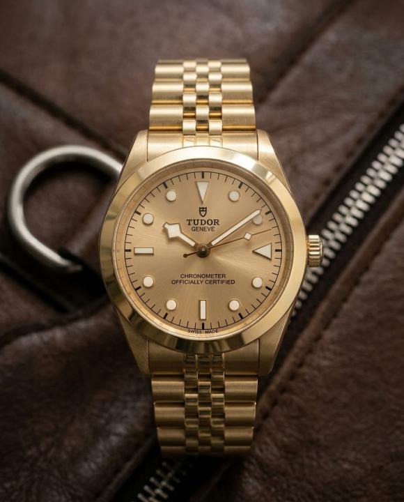 Tudor Black Bay